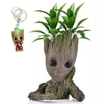 Baby Groot Maceta - Figura de acción para Plantas y bolígrafos de la película clásica - Perfecto como Regalo - Soy Groot 14x11x7cm