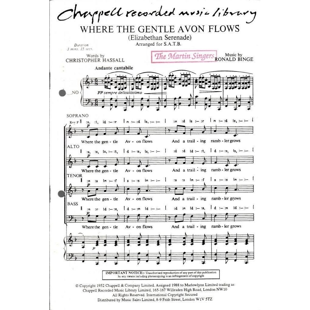 Imagen Principal