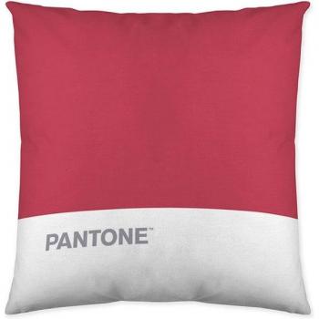 Pantone Funda cojín