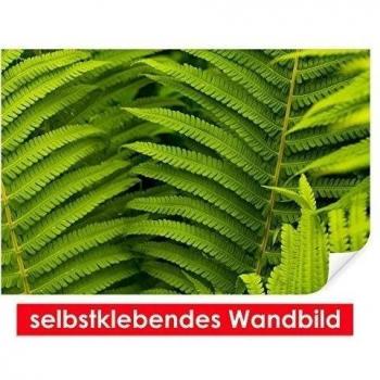 Selbstklebendes - cuadro de mando a CloseUp-Set - Fáciles de pegar - Wall Print, Wall Paper, Póster, pantalla con pegamento de puntos de vinilo para paredes, puertas, muebles y superficies lisas de Trend paredes, 90 x 60 cm