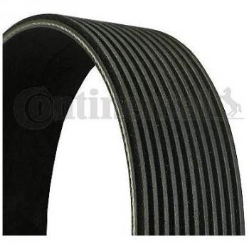 Contitech 11PK2871 Belt Grooved