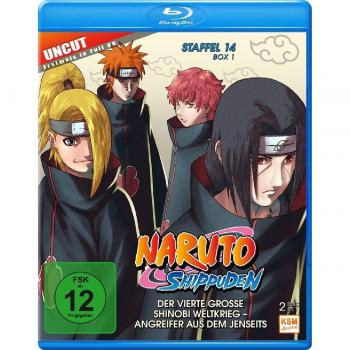 NARUTO SHIPPUDEN STAFFEL 14 BO [Blu-ray] [2007]