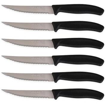 Quttin - Set de 6 Cuchillos para Bistec Sierra 11cm - Basic