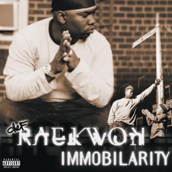 Immobiliarity - Raekwon
