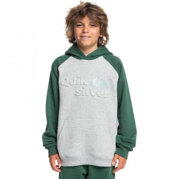 Sudadera con capucha para niños Quiksilver Age of Blue, color gris claro, talla 16 años