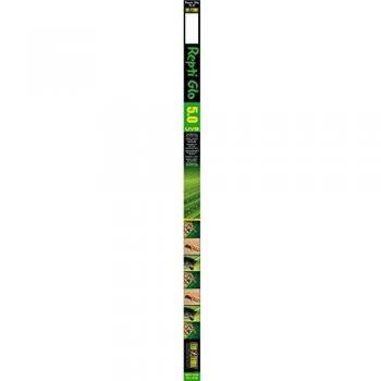Exo Terra repti glo 5.0 fluorescente  40 w 105 cm