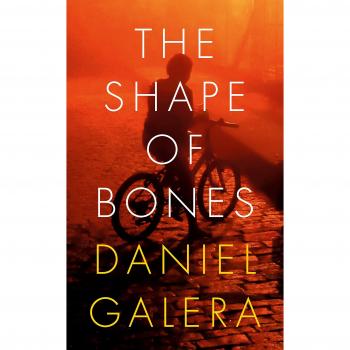 La Forma de los Huesos - Daniel Galera (novela)