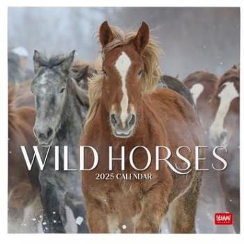 Calendario de pared 2025 mes vista Horses Legami multilingüe, tamaño grande 30 x 29 cm, incluye 12 meses y planificador anual, espacio para notas, disponible en 6 idiomas, contiene signos del zodiaco