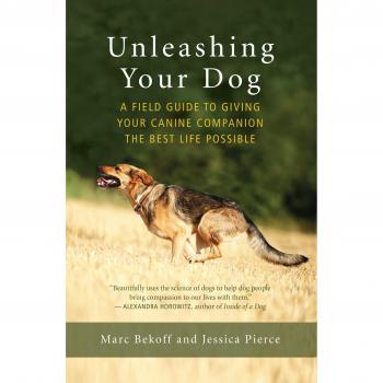 Unleashing Your Dog: A Field Guide to Freedom