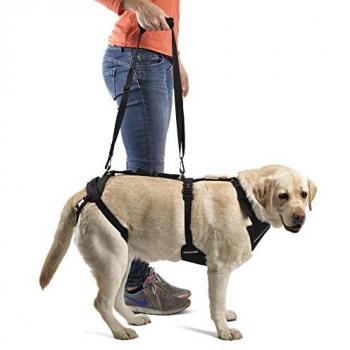 Arnés Canino Integral Ortocanis para Perros - Soporte para Extremidades Delanteras y Traseras, Talla XXL