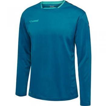 Hummel Camiseta De Manga Larga Authentic Poly, Jersey de manga larga, color Celestial, talla S