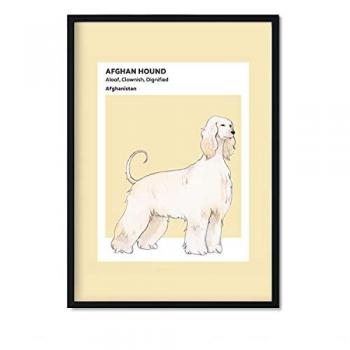 Lámina A3 Sabueso Afgano - Póster Decorativo con Ilustraciones de Razas de Perro en Tonos Cálidos y Pastel