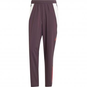 Bayern Munich 2024/25 Prematch Training Pants
