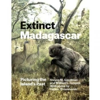 Extinct Madagascar: Picturing the Island's Past