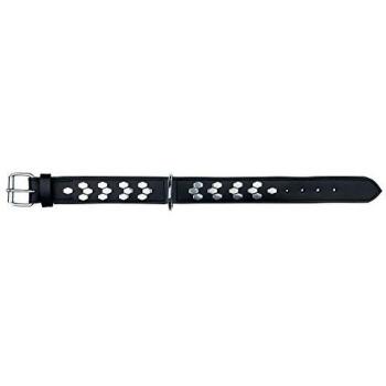 Trixie Collar Activo con Tachuelas