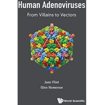 Human Adenoviruses: From Villains to Vectors