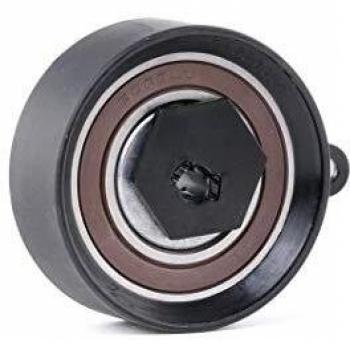 Ridex 308T0118 - Rodillo tensor con correa dentada