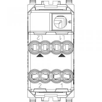 Interruptor Bipolar Vimar Eikon Next 2P 16AX