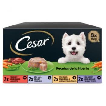 Cesar Multipack Comida Húmeda Selección De La Huerta en Paté y Gelatina para Perros (24x150 gr) - Recetas de Buey, Caza, Pollo y Cordero