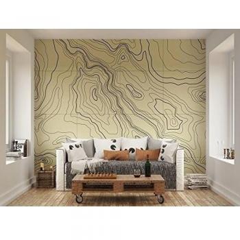 ohpopsi Topographic Map showing Contornos Mural