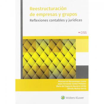Reestructuración de empresas y grupos: Reflexiones contables y jurídicas - Montserrat Manzaneque Lizano, Jesús Fernando Santos Peñalver, María Del Sagrario Navarro Lérida Y Alfredo Muñoz García