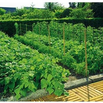 Malla entutorar trellinet 2x025m verde
