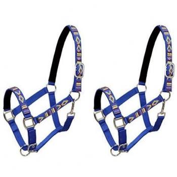 vidaXL 2X Cabezadas de Caballo Nylon Tamaño Pony Azul Equitación Cabestros