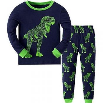 MIXIDON Niño Pijamas Dos Piezas Dinosaurio Ropa de Dormir 100% Algodón Manga Larga Pijamas para Niños,Pattern 1,3-4 Años