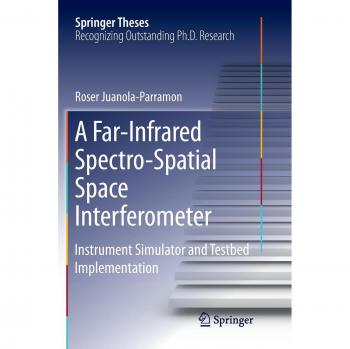 A Far-Infrared Spectro-Spatial Space Interferometer: Instrument Simulator and Testbed Implementation