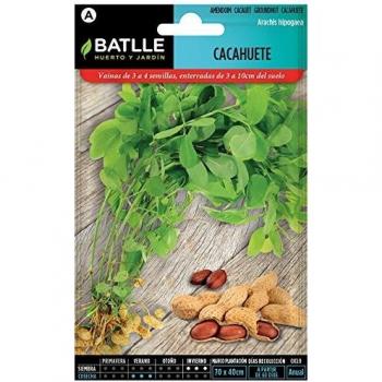 Semillas Aromáticas - Cacahuete - Batlle