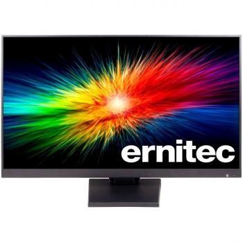Monitor de Vigilancia Ernitec 22 (55,9 cm) Full HD 1920 x 1080 LED Negro para Uso 24/7 con Carcasa Metálica