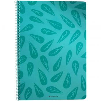 Cuaderno Espiral Folio Edelvives Nº46 80 Hojas Tapa Blanda Colores Surtidos