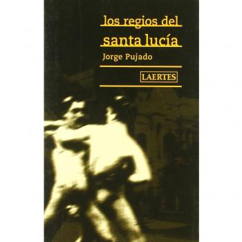 Los regios de santa Lucía: Historias de vidas de jóvenes homosexuales de Santiago