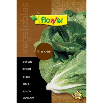 Flower Sobre semillas lechuga