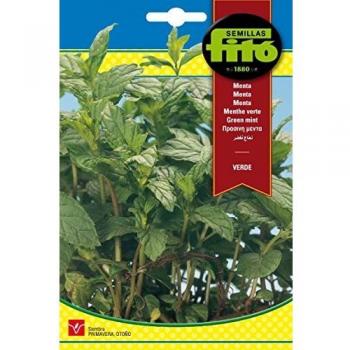 Semillas Fitó 653 - Menta Verde