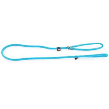 Correa Educativa de Nylon Turquesa para Perros 180cm