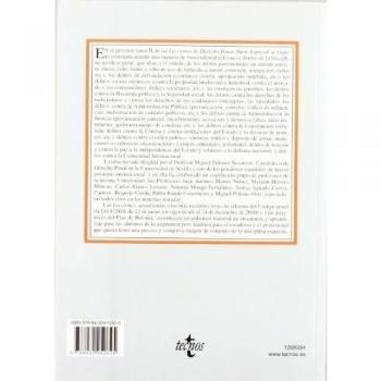 Lecciones de Derecho penal. Parte especial: Tomo II Adaptada a la Ley Orgánica 5/2010 de Reforma del Código Penal