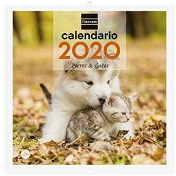 Finocam Imágenes 30x30 Perros y Gatos, Calendario de Pared 2020 Español