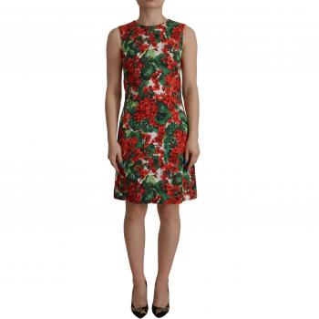 Dolce & Gabbana Multicolor Geranium Cotton Knee Length Dress