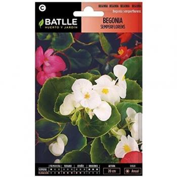 Semillas de Flores - Begonia Semperflorens variada - Batlle