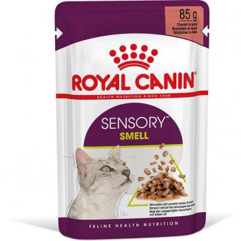 Royal Canin Sensory Smell Wet Cat Food in Gravy - 85g Pouches