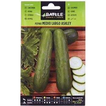 Pepino ASHLEY medio largo