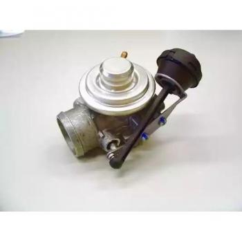 Válvula EGR BorgWarner Wahler 7301D