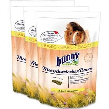 bunny - Sueño de cobayas