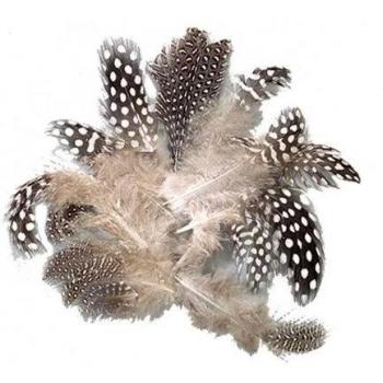 efco Molleton de Aves de Guinea 40-80 mm 3 g ~ 36 uds. Natural, Plumas, 12 x 5 x 2 cm