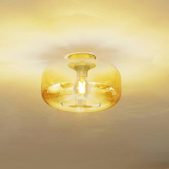 Lámpara de Techo Hildur Ø 28,5 cm Ámbar Cristal Regulable para Salón y Comedor