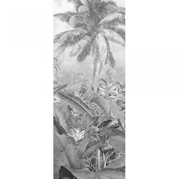 Fototapiz Amazonia Blanco y Negro 100x250 cm Vlies