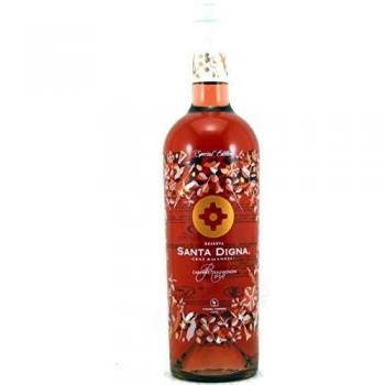 Miguel Torres Chile Santa Digna Rosé, Vino Rosado - 6 botellas de 75 cl, Total: 4500 ml