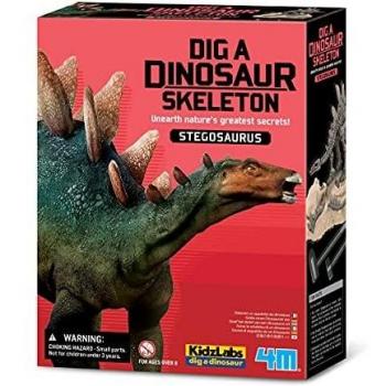 4M - Stegosaurus Skeleton