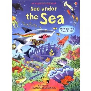 Ve Dentro del Mar: Libro Interactivo con Más de 80 Solapas para Levantar